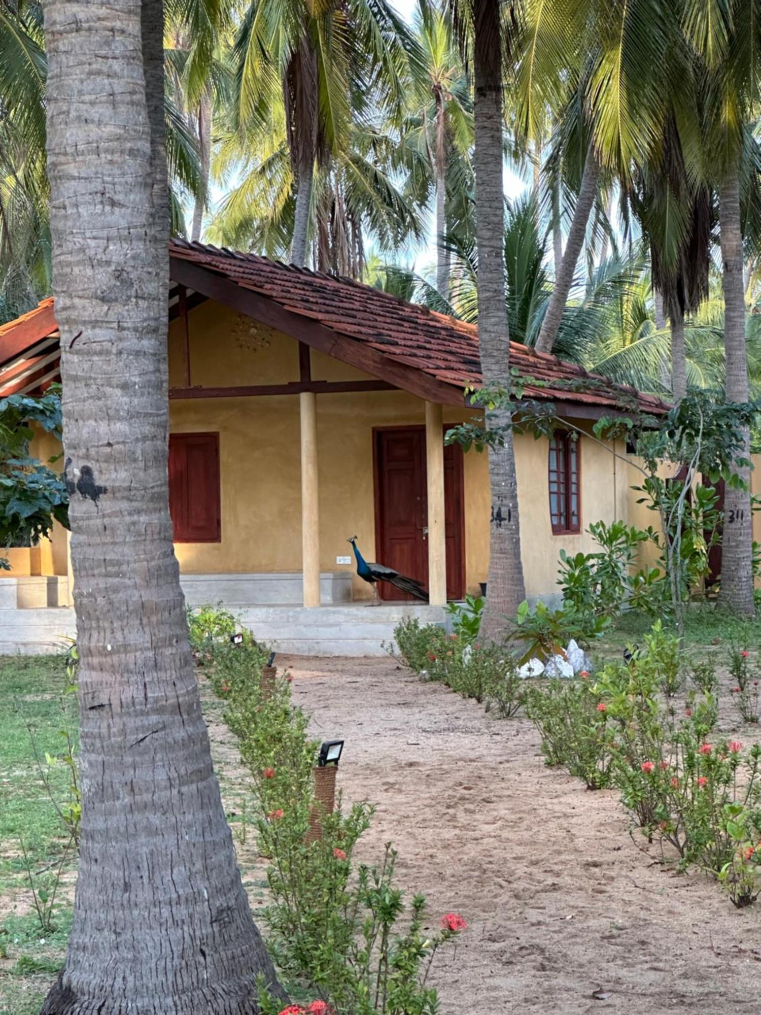 Kitelantis Hotel&Resort Kalpitiya Exterior foto