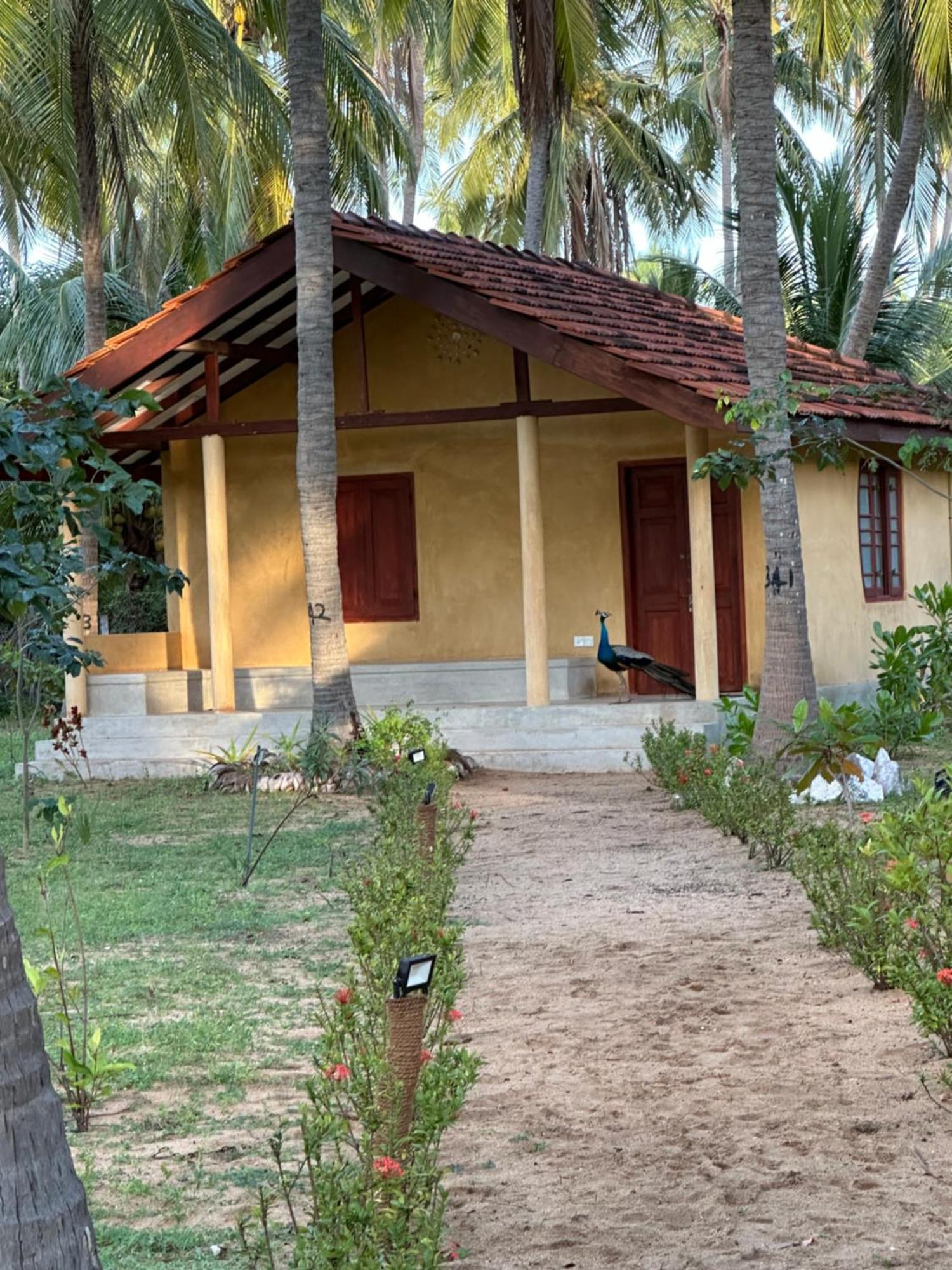 Kitelantis Hotel&Resort Kalpitiya Exterior foto